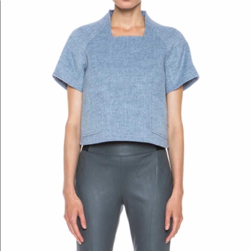 Theysken’s Theory Wool Bondy Top